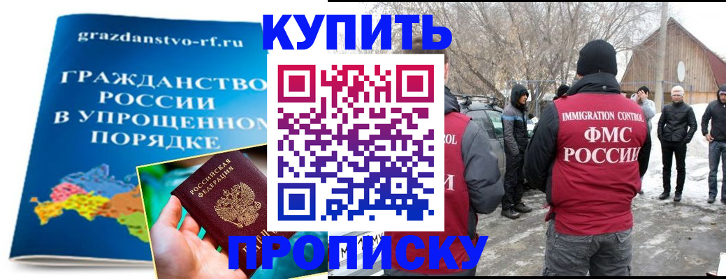 временная регистрация поиск в Димитровграде